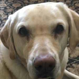 Meet your Posher, Matthew